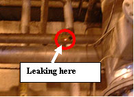 laser pointer used with a digital camera laser pointer used with a digital camera
